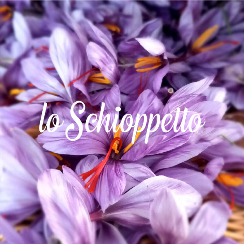 Lo Schioppetto